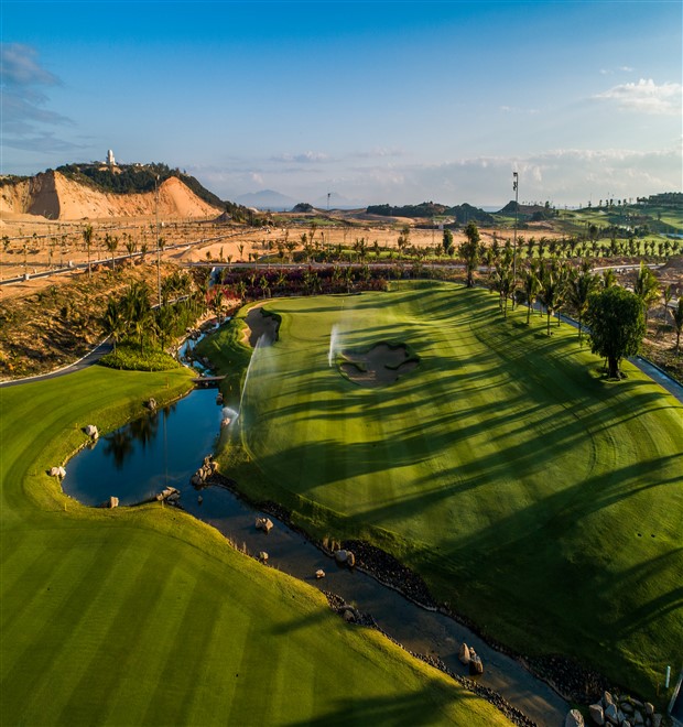 The Oasis