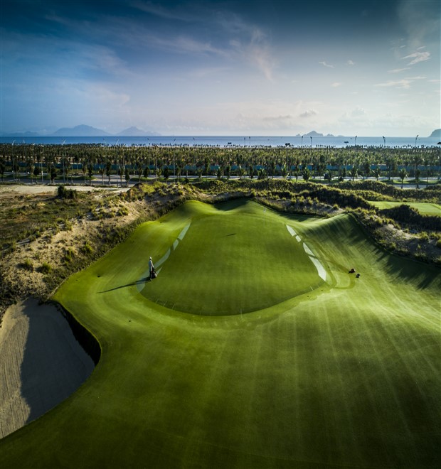 The Links